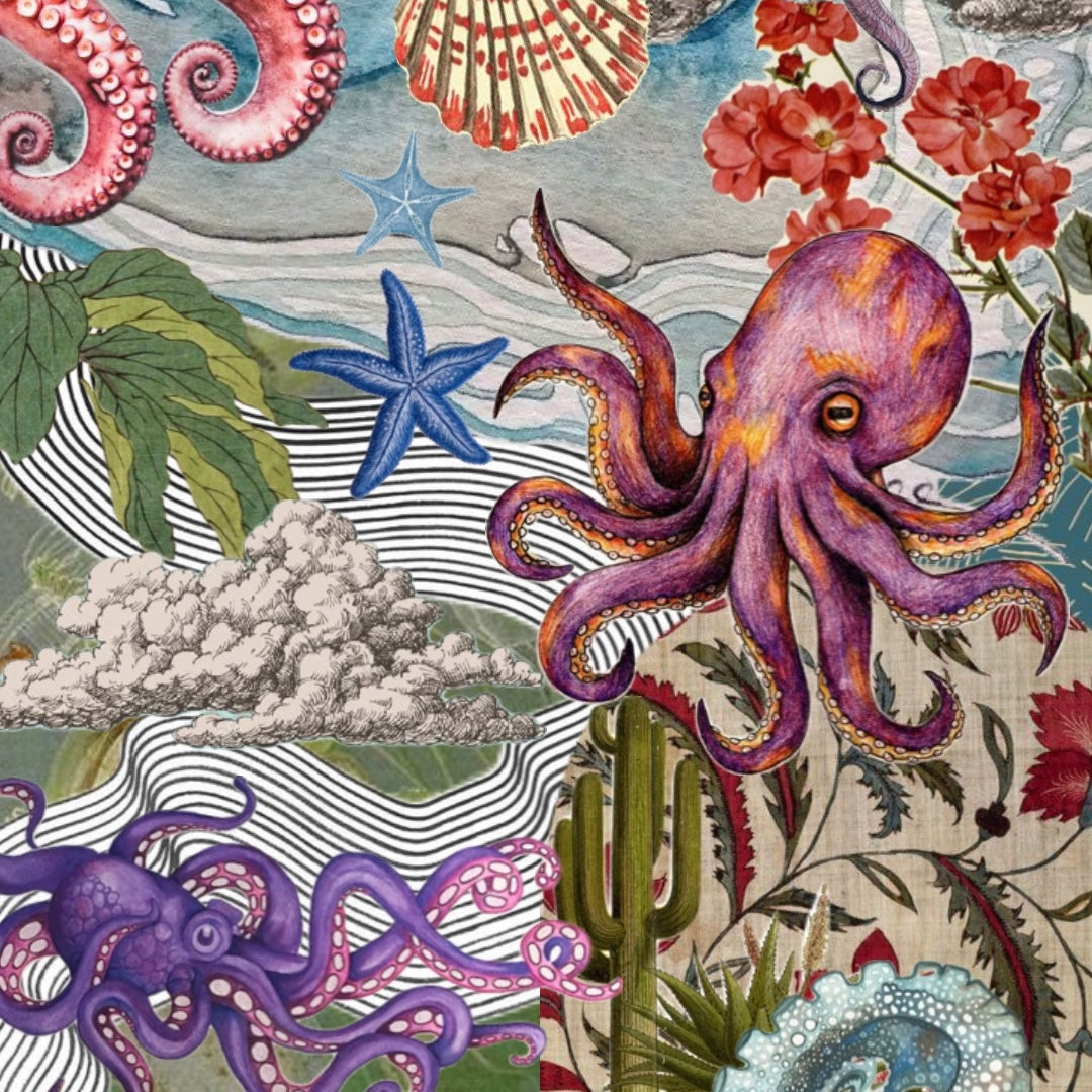 10 Mind-Blowing Octopus Facts!