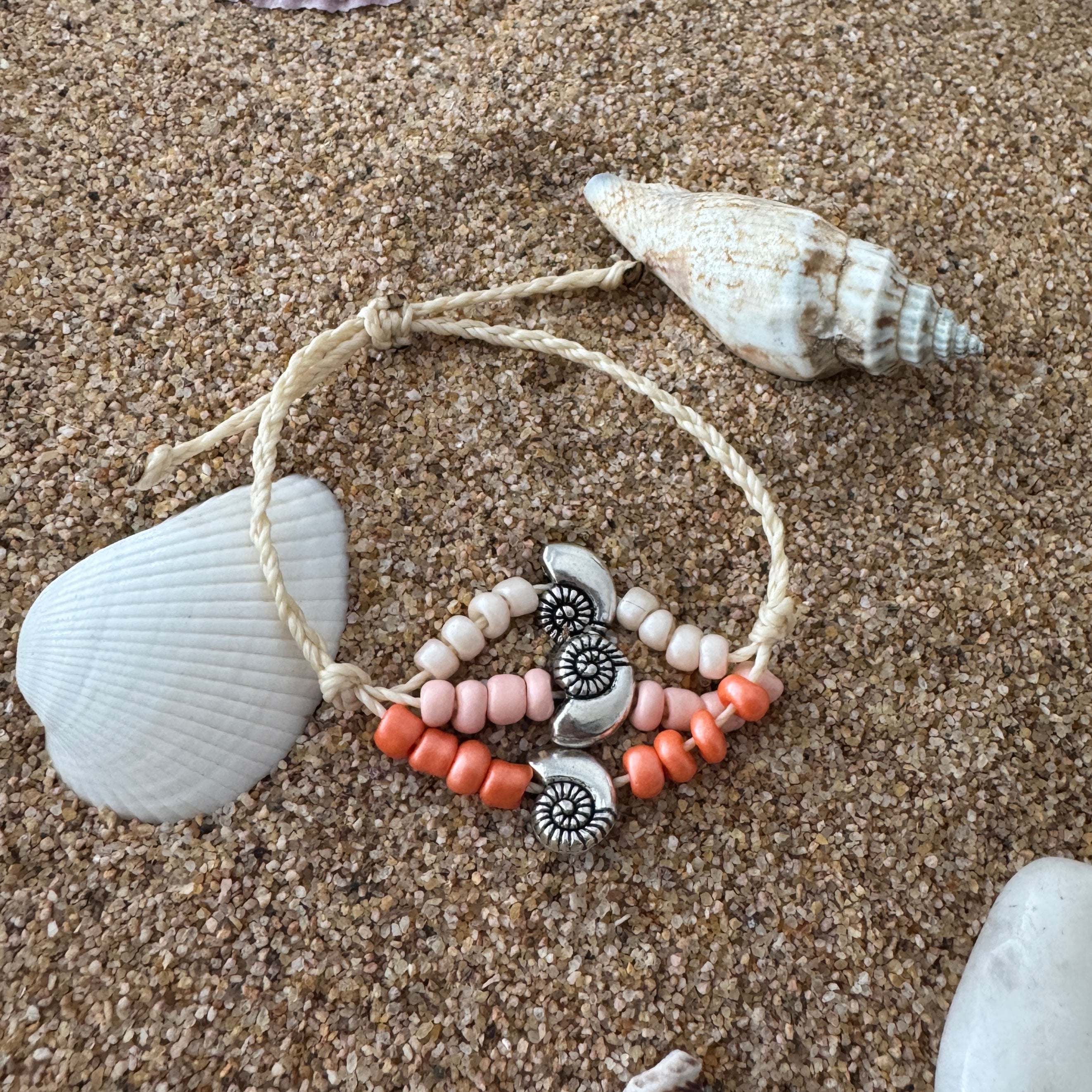 Seashell Sunrise