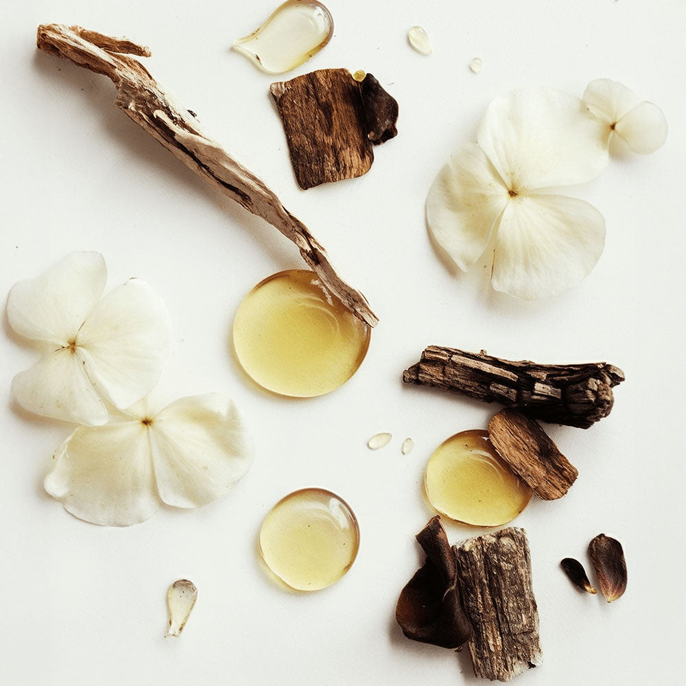 Whipped Tallow with Vanilla Bean